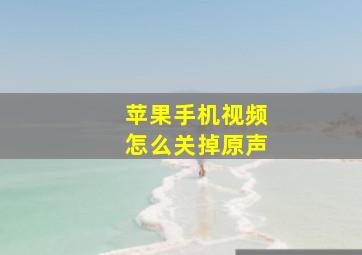 苹果手机视频怎么关掉原声