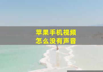 苹果手机视频怎么没有声音