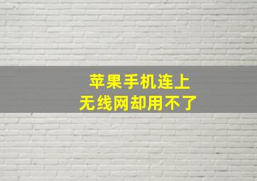 苹果手机连上无线网却用不了