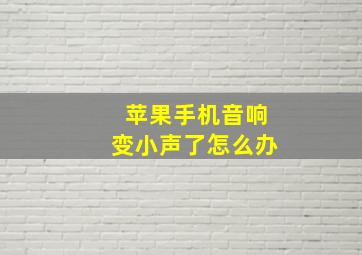 苹果手机音响变小声了怎么办