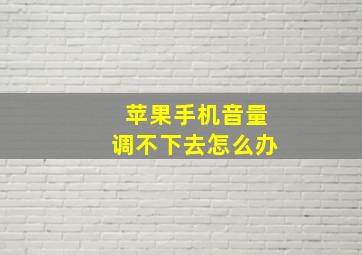 苹果手机音量调不下去怎么办