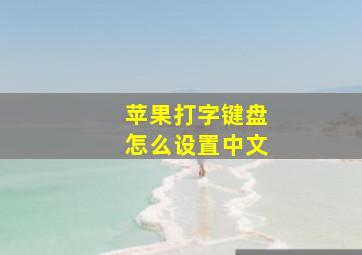 苹果打字键盘怎么设置中文