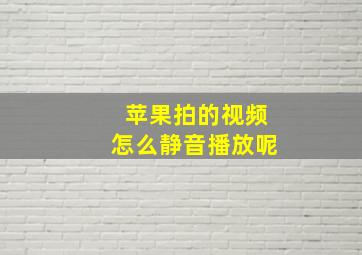 苹果拍的视频怎么静音播放呢