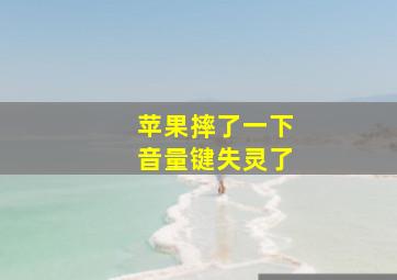 苹果摔了一下音量键失灵了