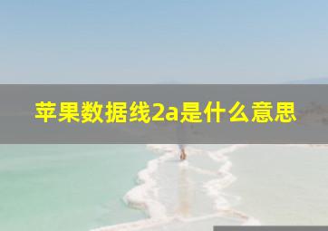 苹果数据线2a是什么意思