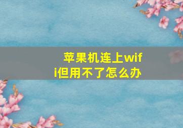 苹果机连上wifi但用不了怎么办