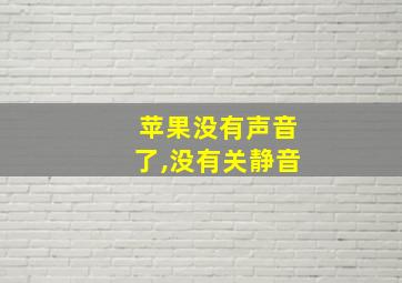 苹果没有声音了,没有关静音