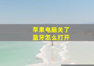 苹果电脑关了蓝牙怎么打开