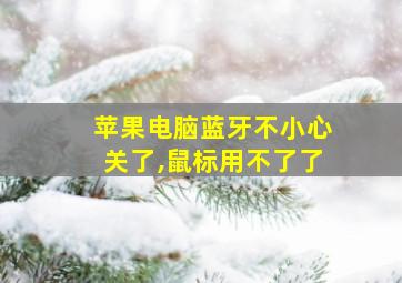 苹果电脑蓝牙不小心关了,鼠标用不了了