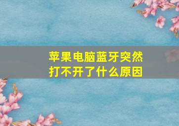 苹果电脑蓝牙突然打不开了什么原因