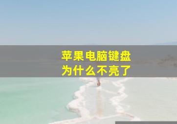 苹果电脑键盘为什么不亮了