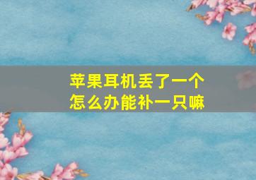 苹果耳机丢了一个怎么办能补一只嘛