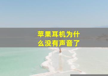 苹果耳机为什么没有声音了