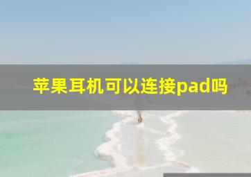 苹果耳机可以连接pad吗