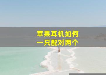 苹果耳机如何一只配对两个