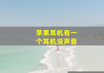 苹果耳机有一个耳机没声音