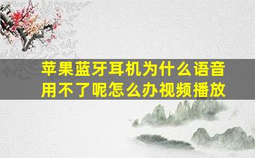 苹果蓝牙耳机为什么语音用不了呢怎么办视频播放