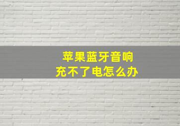 苹果蓝牙音响充不了电怎么办