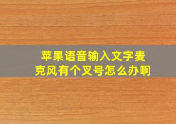 苹果语音输入文字麦克风有个叉号怎么办啊