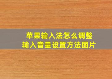 苹果输入法怎么调整输入音量设置方法图片