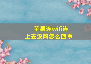 苹果连wifi连上去没网怎么回事