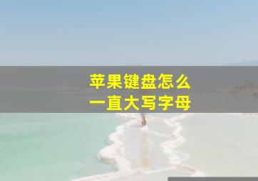 苹果键盘怎么一直大写字母