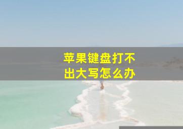 苹果键盘打不出大写怎么办