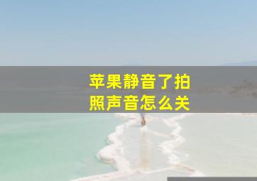 苹果静音了拍照声音怎么关