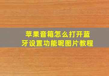 苹果音箱怎么打开蓝牙设置功能呢图片教程