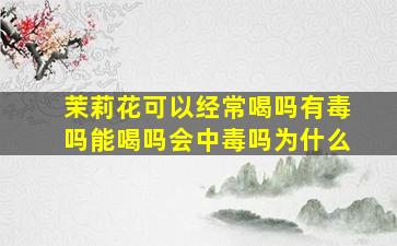 茉莉花可以经常喝吗有毒吗能喝吗会中毒吗为什么