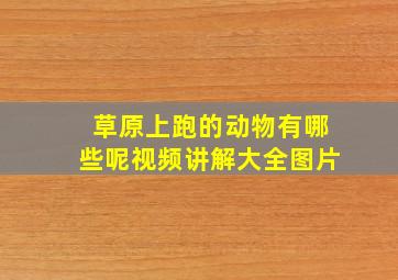 草原上跑的动物有哪些呢视频讲解大全图片