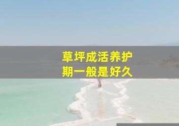 草坪成活养护期一般是好久