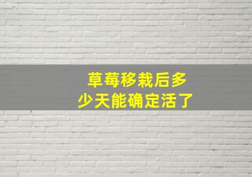 草莓移栽后多少天能确定活了