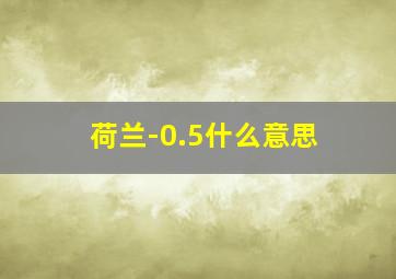 荷兰-0.5什么意思