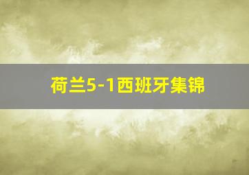 荷兰5-1西班牙集锦