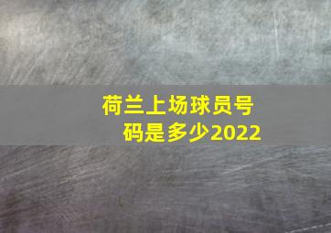 荷兰上场球员号码是多少2022