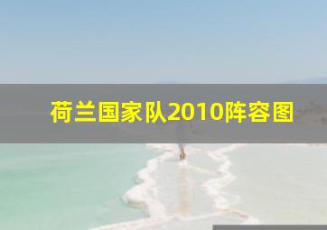 荷兰国家队2010阵容图