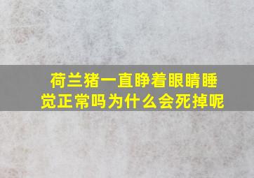 荷兰猪一直睁着眼睛睡觉正常吗为什么会死掉呢