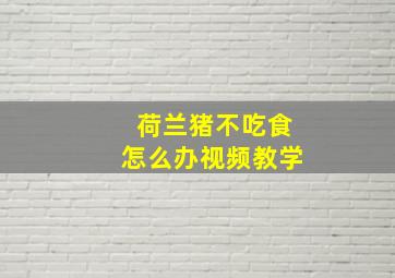 荷兰猪不吃食怎么办视频教学