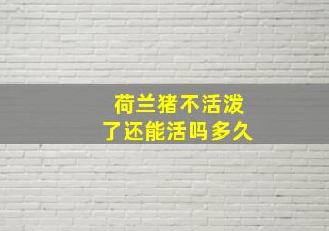 荷兰猪不活泼了还能活吗多久