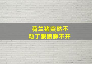 荷兰猪突然不动了眼睛睁不开