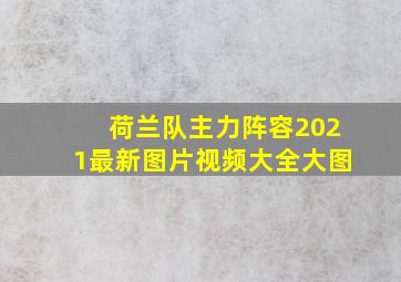 荷兰队主力阵容2021最新图片视频大全大图