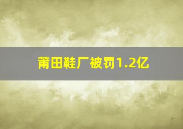 莆田鞋厂被罚1.2亿