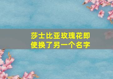 莎士比亚玫瑰花即使换了另一个名字