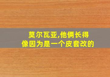 莫尔瓦亚,他俩长得像因为是一个皮套改的