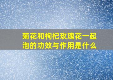 菊花和枸杞玫瑰花一起泡的功效与作用是什么