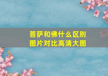 菩萨和佛什么区别图片对比高清大图