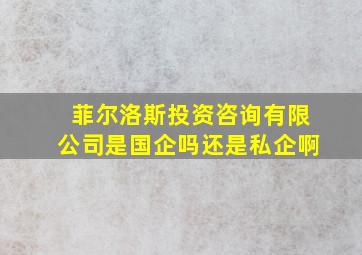 菲尔洛斯投资咨询有限公司是国企吗还是私企啊