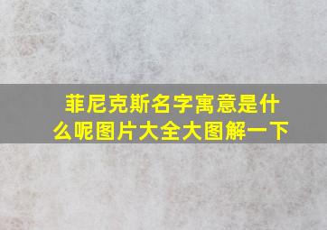 菲尼克斯名字寓意是什么呢图片大全大图解一下