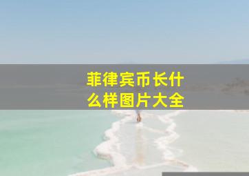 菲律宾币长什么样图片大全